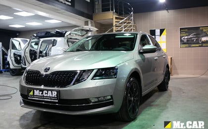 Детейлинг Skoda в Москве. Хотите также ?